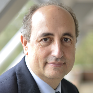 Luis Salvador Carulla